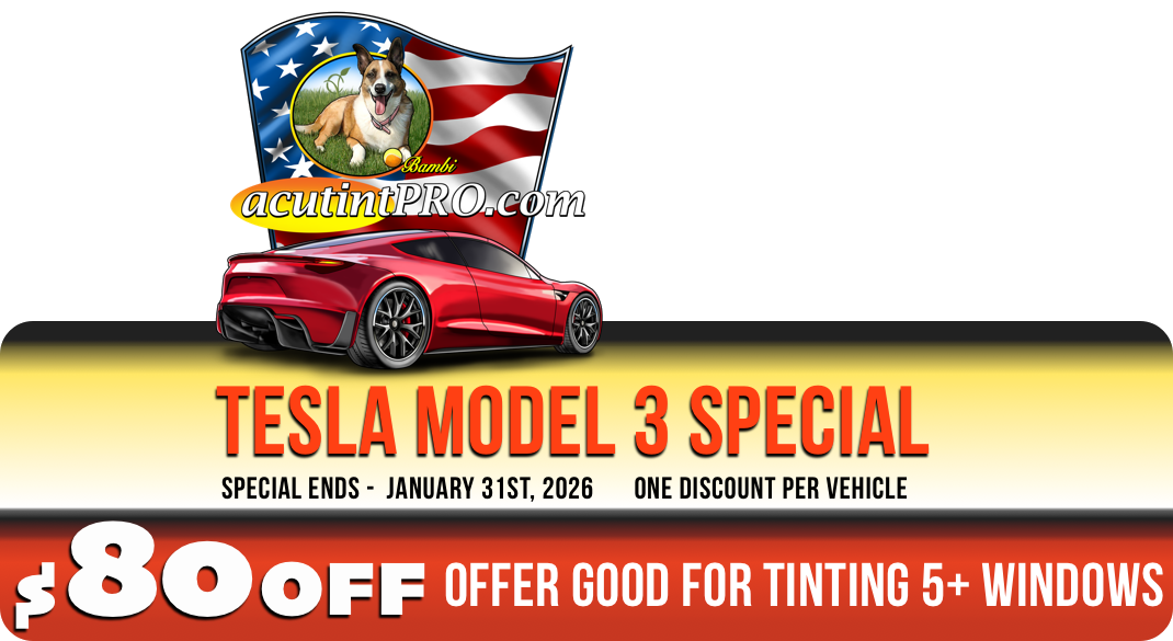 TESLA MODEL 3 SPECIAL COUPON