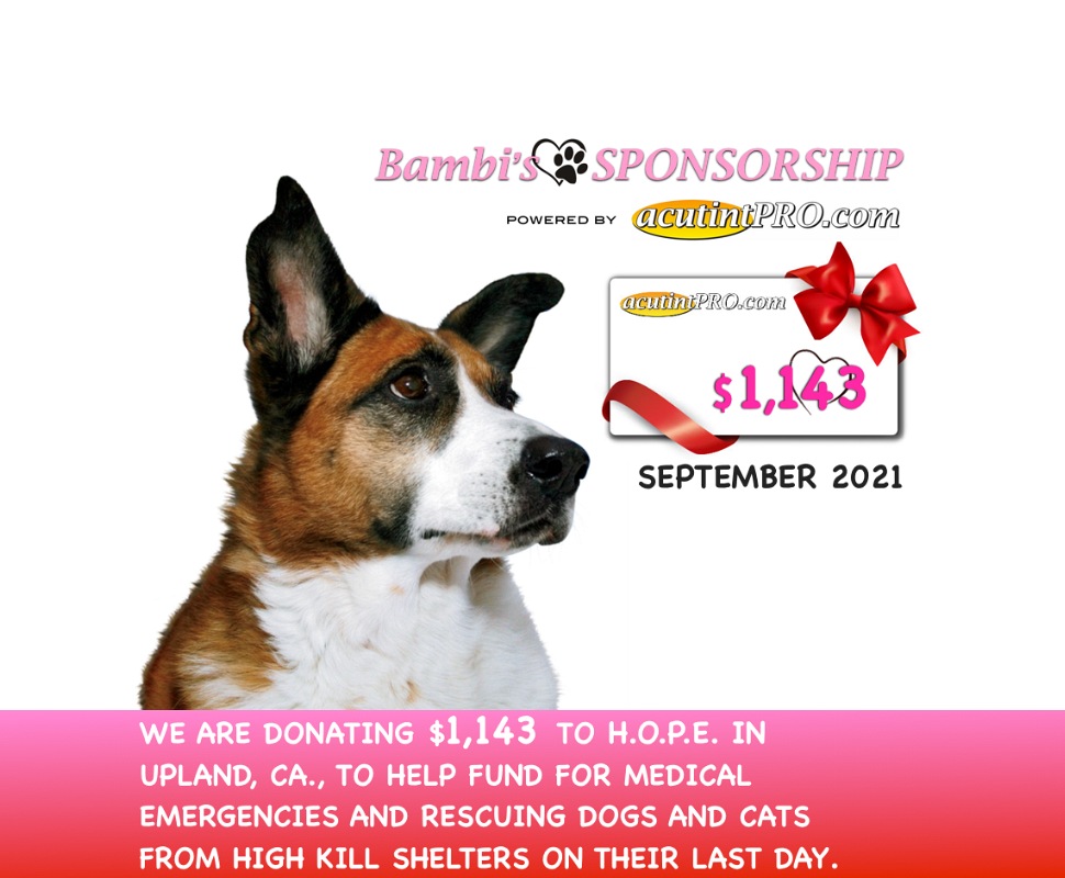 Helping Out Pets Everyday Sponsor SEP 2021