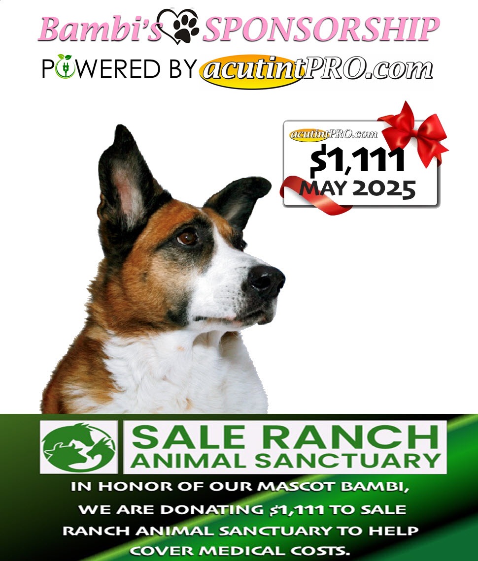 Bambi Sponsrship, MAY 2025