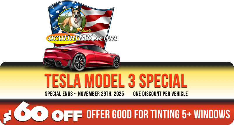 TESLA MODEL 3 YEAR END SPECIAL COUPON